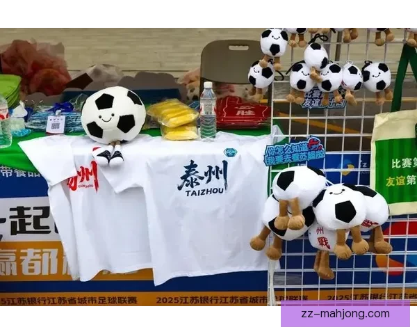 中国足协启动全国青训大普查全面摸底青少年足球发展情况